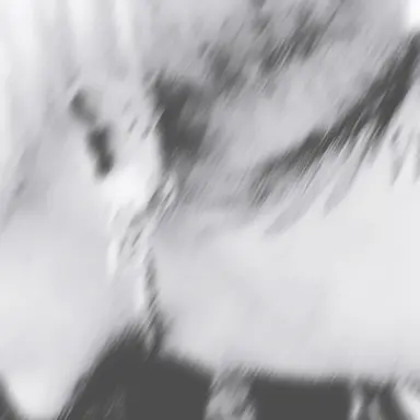 Profile image of 쌍단