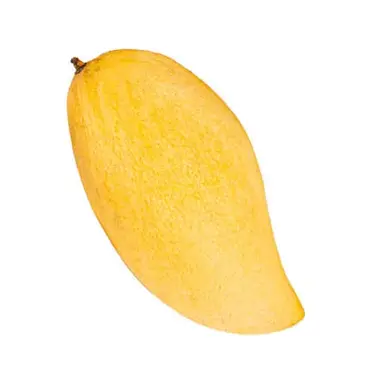 Profile image of 망고