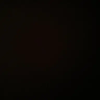 Profile image of 박_성_호