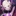 カペラ・エメラダ・ルグニカ