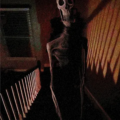 Profile image of Backwards