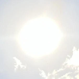 카피