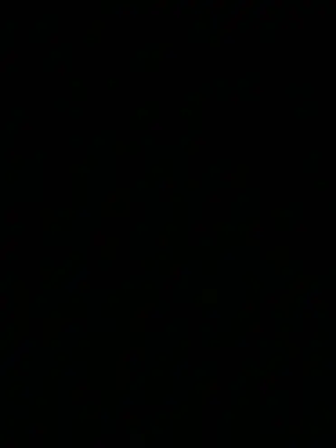 nacht._의 貴方はマフィアです。