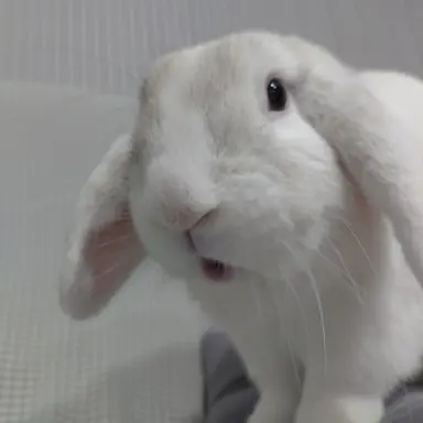 Profile image of 살인마