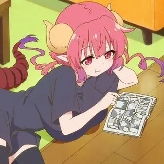 Profile image of イルル