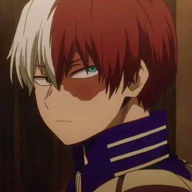 Profile image of Shoto Todoroki