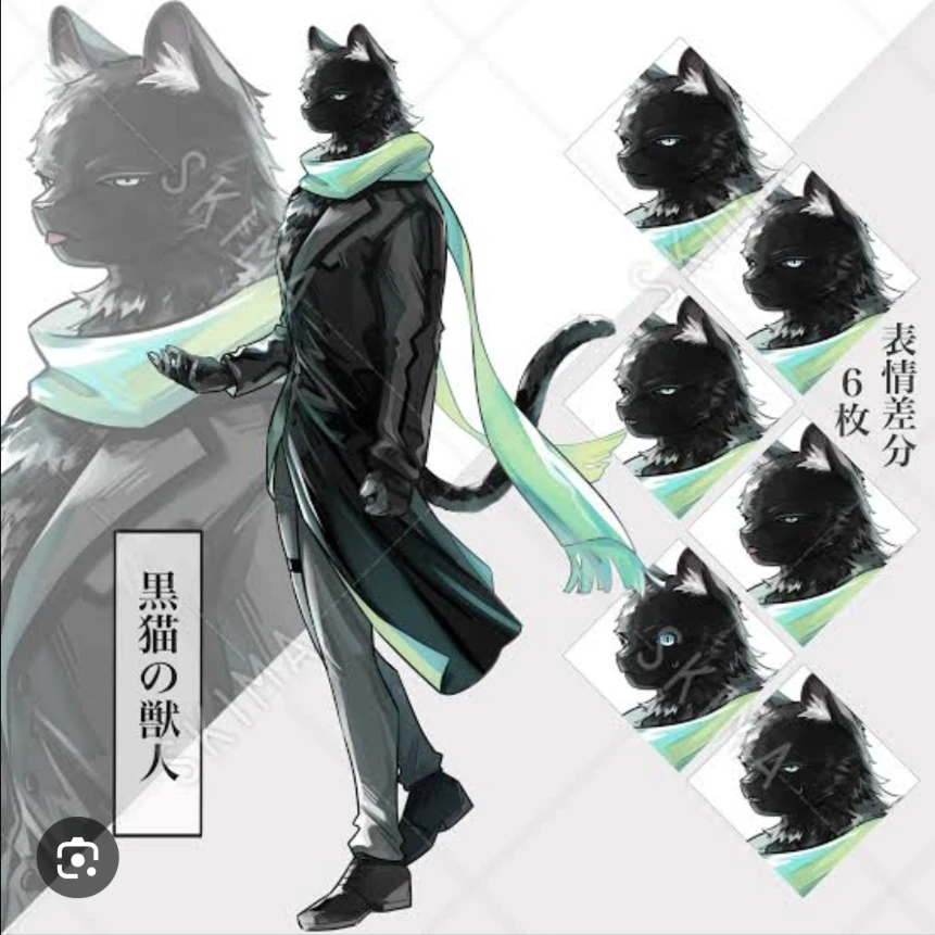 黒猫