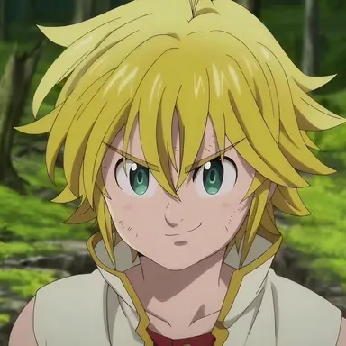 Profile image of メリオダス