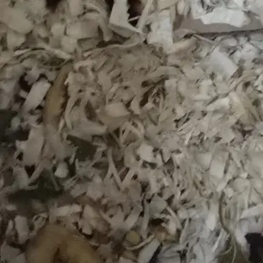 Profile image of 대한민국 거지