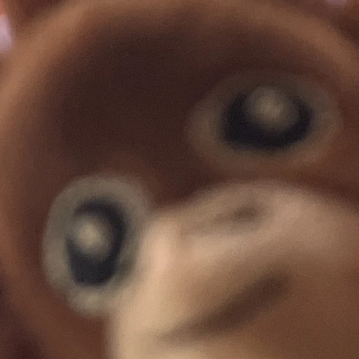 원숭이