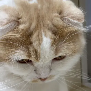 Profile image of 岡山