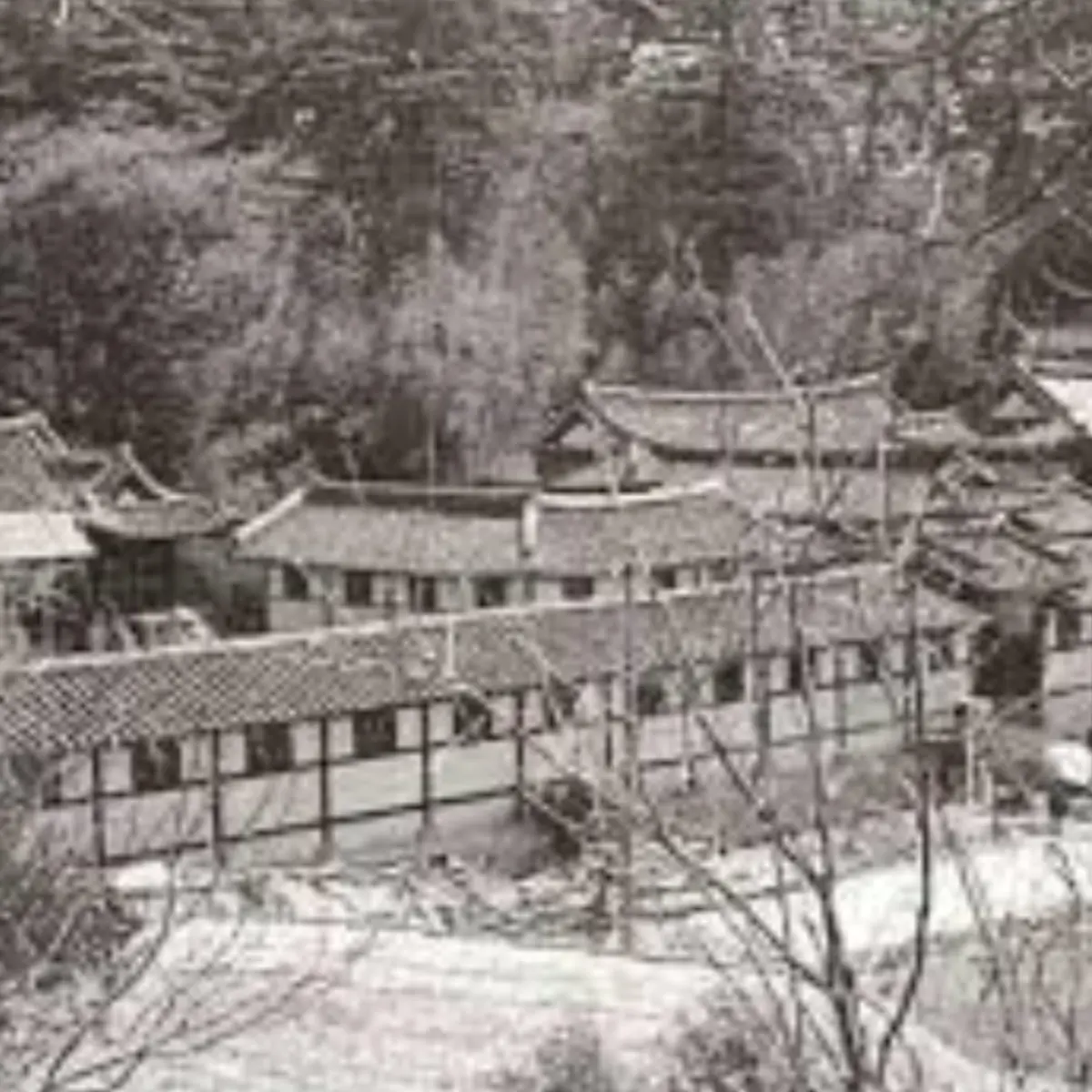 HugeChest6133의 만약 고고프렌즈들이 조선에 있었다면?