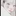 정하율