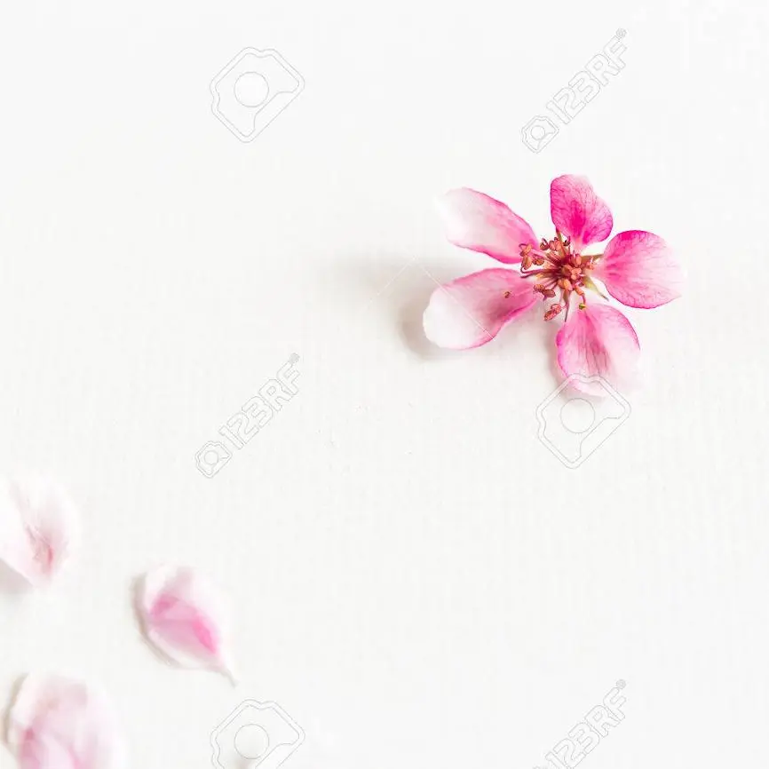 FleshyDial9982의 박보영