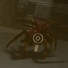 Profile image of 스파이더