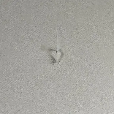 Profile image of 도경수