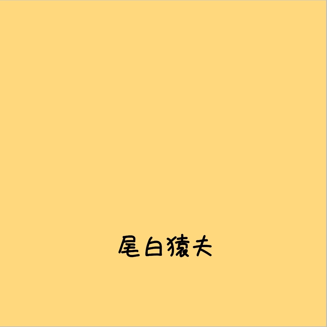 尾白猿夫