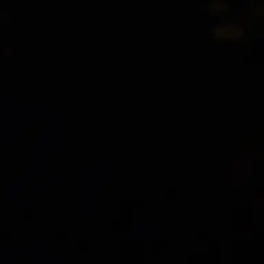 Profile image of 尾形百之助