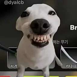 8010의 예뻐진 유저