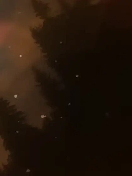 shizuku0818의 本当をしよう.*･ﾟ