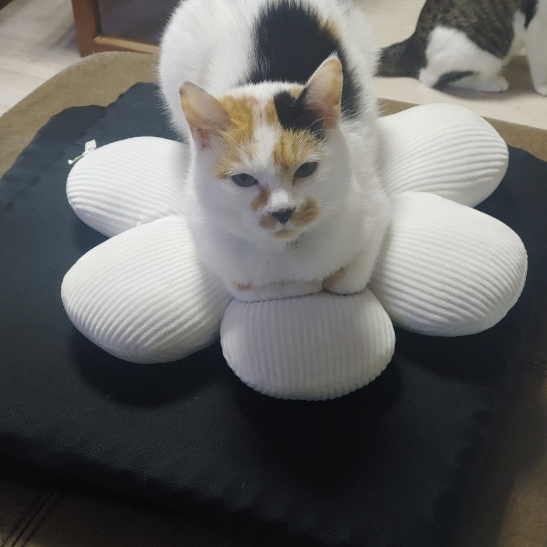 허우석 대표 이미지