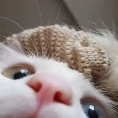 Profile image of 타끼