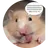 팀나빠 워크샵