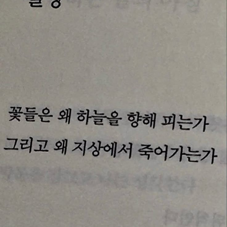 짝사랑×과보호×큐피드 대표 이미지