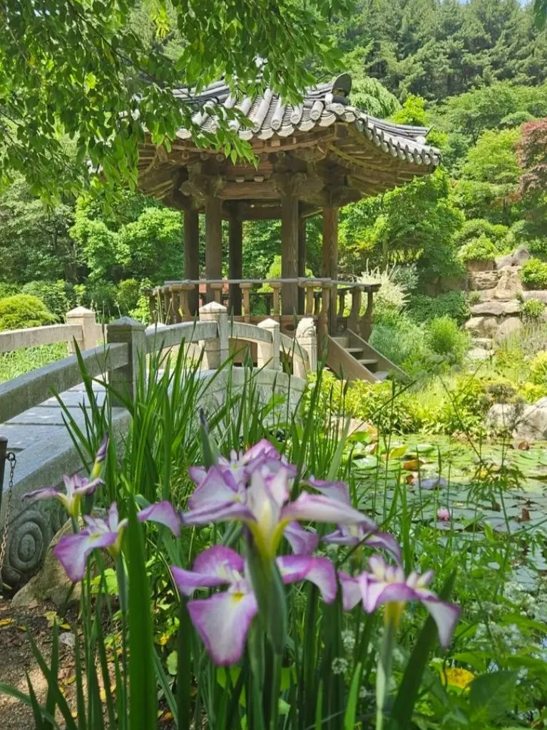 Shuni0329의 조선시대 - 팀나빠