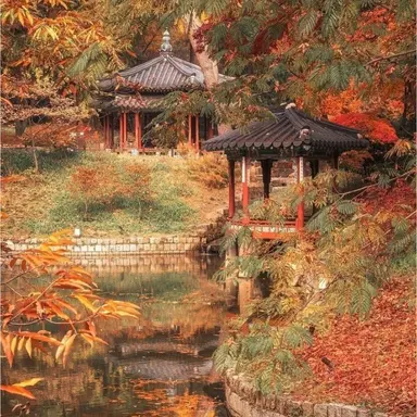 Profile image of 준브레드