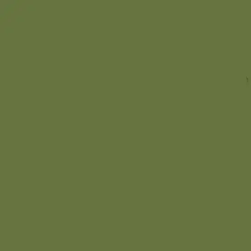 Bronze_Dragon.Jin의 당잔