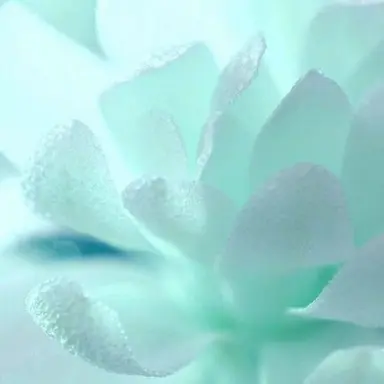 Profile image of 우유참치