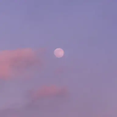 Profile image of 여우