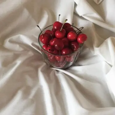 Profile image of 서라더