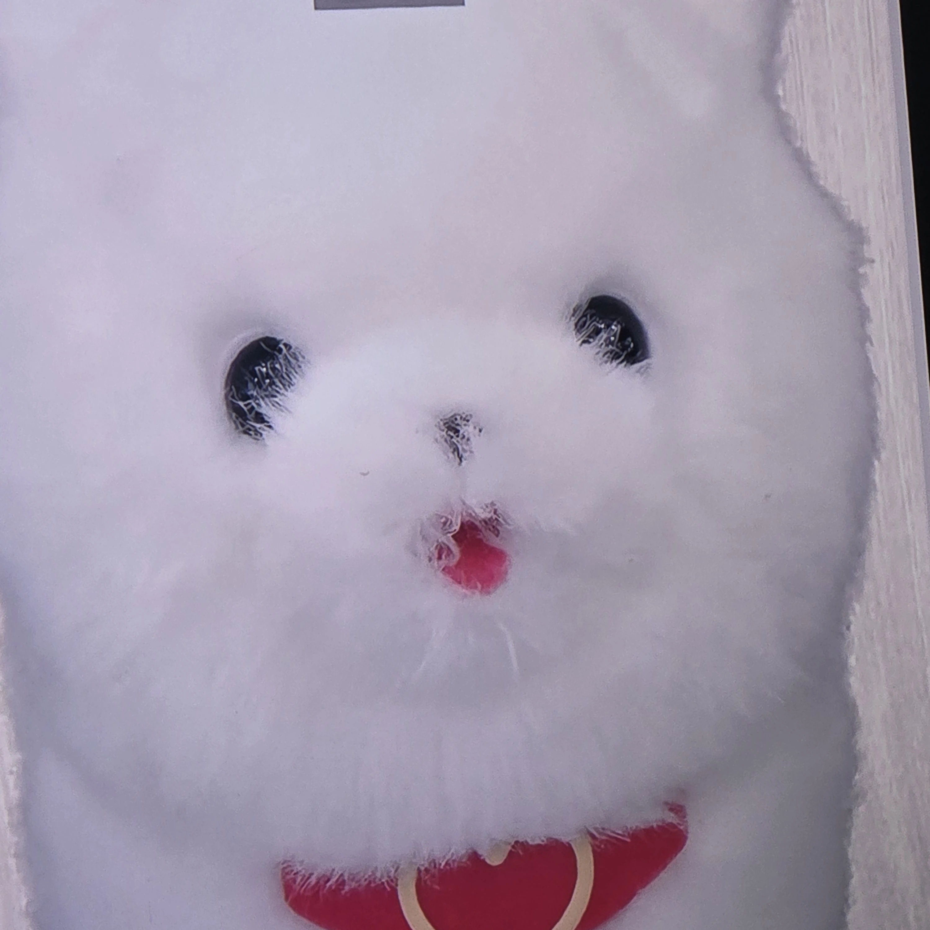 봉식이