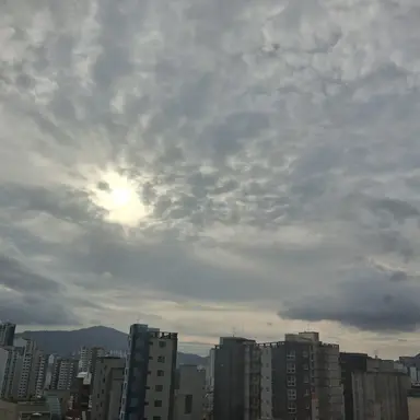 Profile image of 정상현