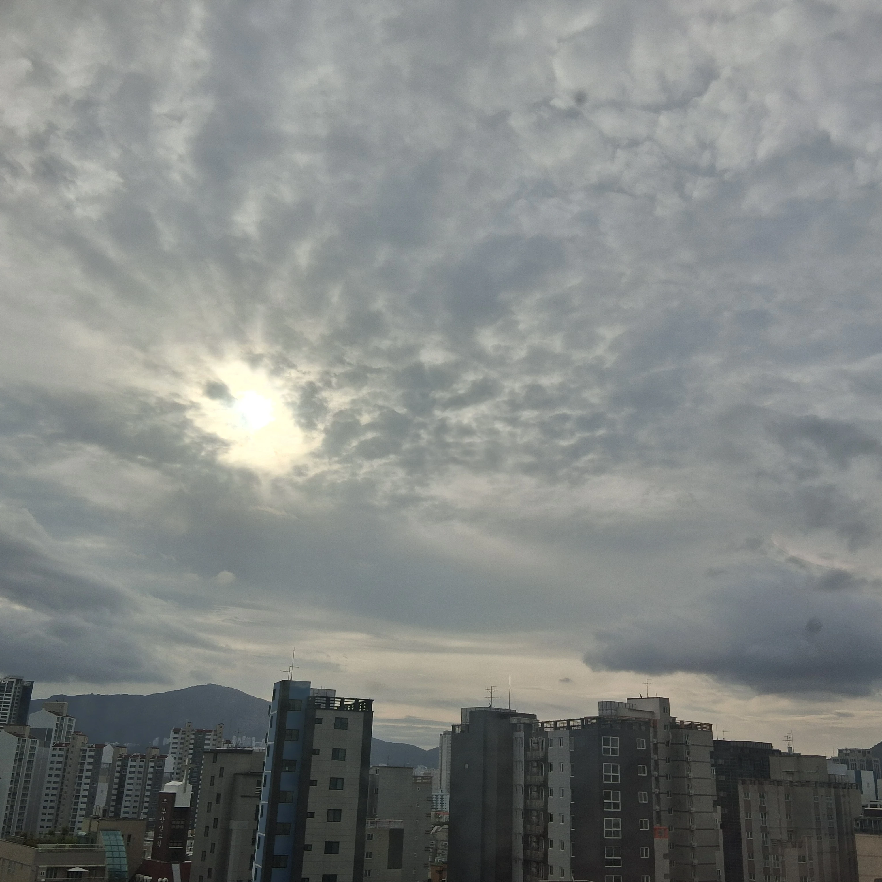 정상현