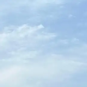 Profile image of 닉 와일드