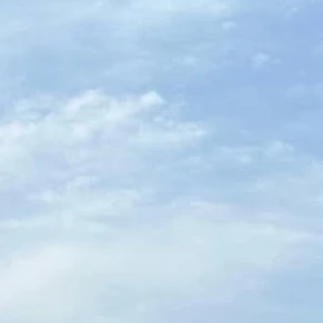 닉