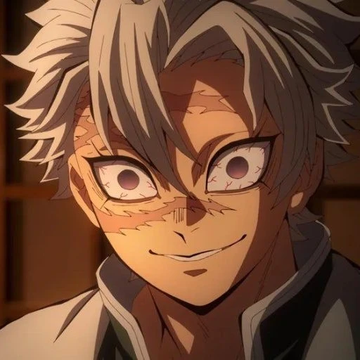 시나즈가와 사네미