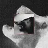 Profile image of チョン-ジフン