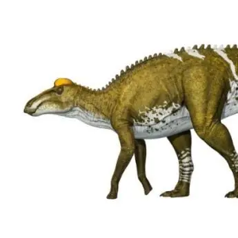 Profile image of 라이너
