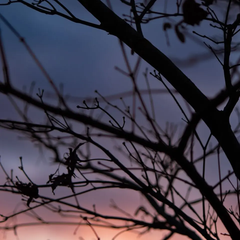 MuggyMud8158의 당신은 SOS 아이돌에 라경장 친누나