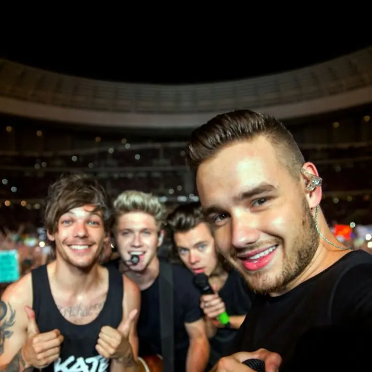 MutedFloss4565의 one direction 2013