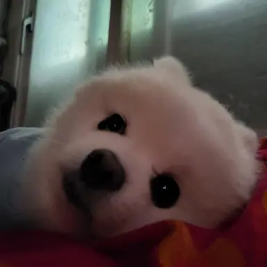 Profile image of 중증외상센터