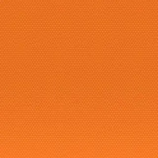 TinyBelt6312의 大西流星（高校生）