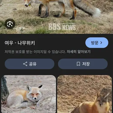 Profile image of 여우