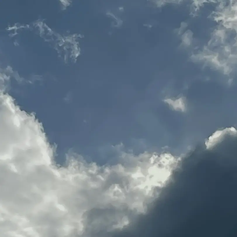 PurelyCloud4583의 김진우