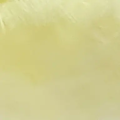 Profile image of 市川健太