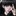 김동현